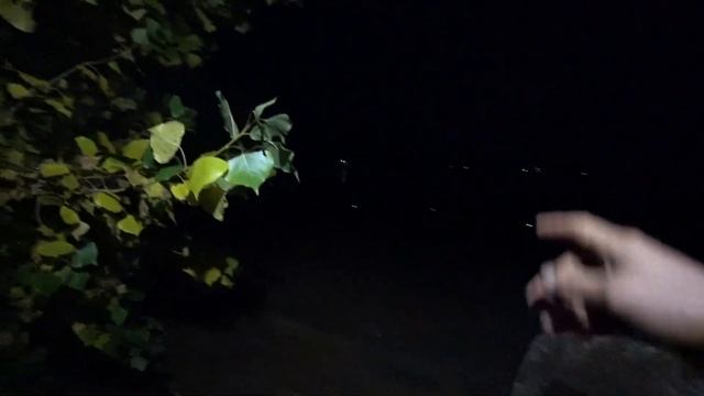 Рыбалка на НАЛИМА с берега на донки. Как поймать и на что клюет. #налим #донки #рыбалка смотреть онлайн