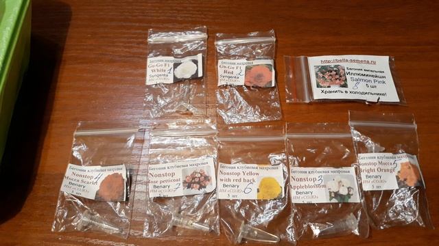 ВСХОДЫ КЛУБНЕВОЙ БЕГОНИИ ИЗ ПРОФ.СЕМЯН / СЕЗОН 2020 смотреть онлайн