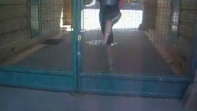 Team JAAR - Joachim, Ali, Rasmus (Parkour) смотреть онлайн