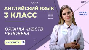 Органы чувств человека. Видеоурок 16. Английский язык 3 класс