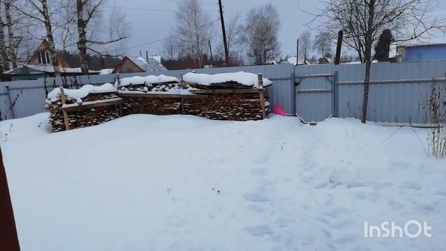 Волки на дачах! смотреть онлайн