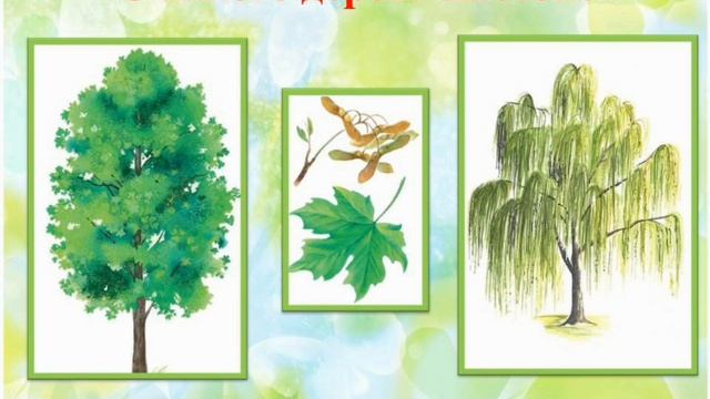 Ознакомление с окружающим "Путешествие по Экологии". Подготовительная группа смотреть онлайн