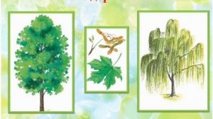 Ознакомление с окружающим "Путешествие по Экологии". Подготовительная группа