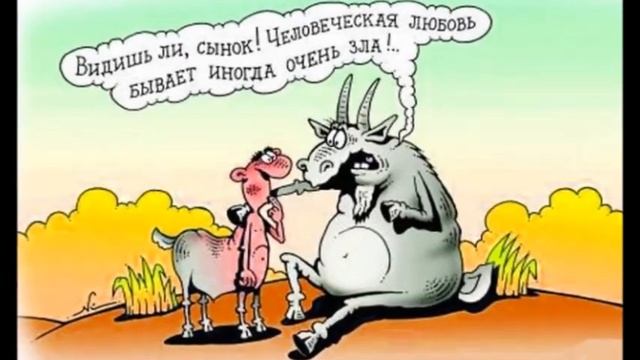 Самые смешные анекдоты. Юмор. Анекдот дня. Короткие видео смотреть онлайн