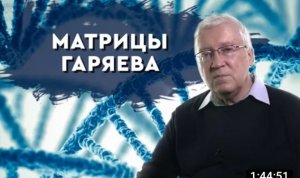 Петр Гаряев - контактер с внеземными цивилизациями? Волновая генетика, матрицы Гаряева.