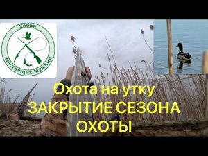 ОХОТА НА УТКУ  2023-2024/ЗАКРЫТИЕ СЕЗОНА
