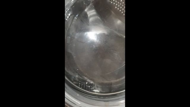 Помыл кошку