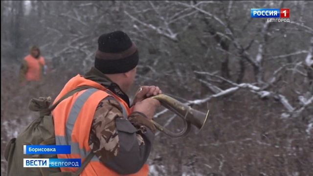 Россельхознадзор ведет мониторинг диких копытных животных смотреть онлайн