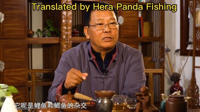 化绍新讲鲫鱼种类及钓法（上） смотреть онлайн