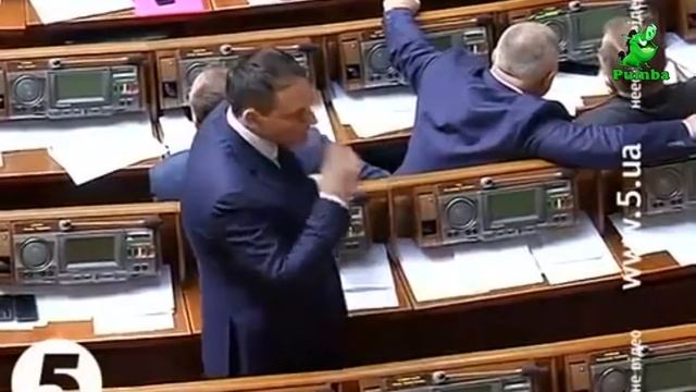 Самые смешные приколы от Пумбы #1 смотреть онлайн