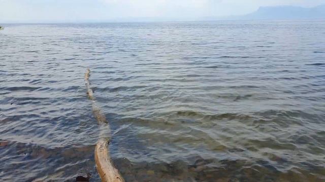 Море: Потрошилово, отдых с друзьями в Красноярском крае смотреть онлайн