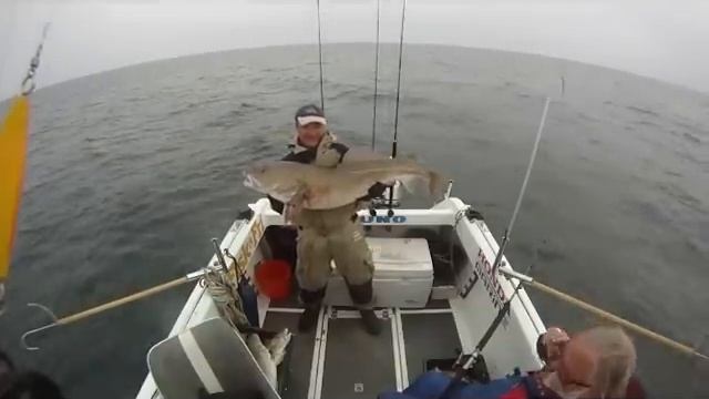 TEAM BILDE GULE REV TORSK 22,5 kg смотреть онлайн