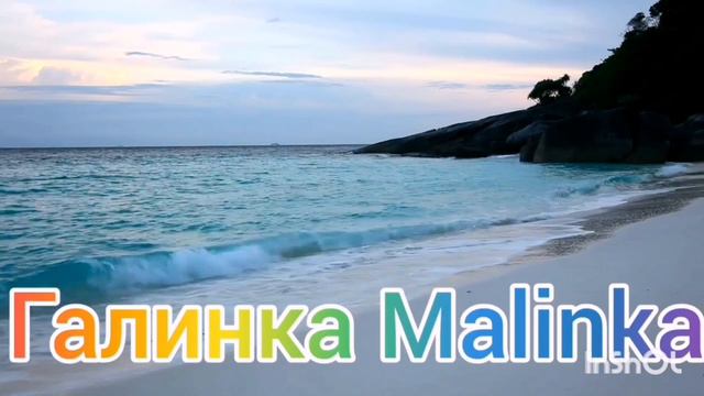 Ольга Уралочка live /В диком шоке /Обзор Влогов /Уралочка и Сафар / смотреть онлайн