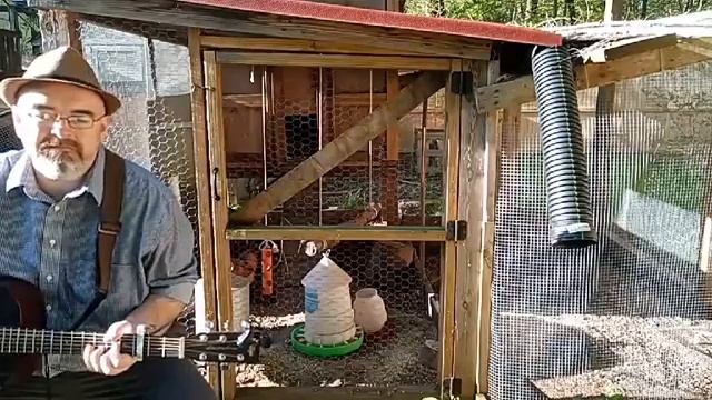 I Can See Clearly Now - Johnny Nash for Chickens! смотреть онлайн