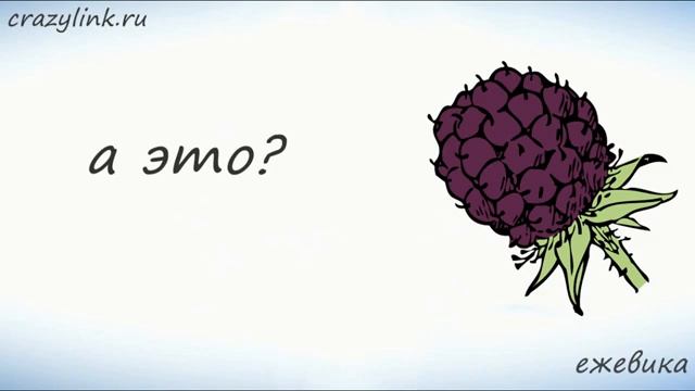 Ягоды на иврите. Учим названия ягод на иврите смотреть онлайн