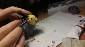 Полимерная глина. Попугай ./ Polymer Clay parrot.