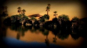 ЗАГАДКИ ПЛАНЕТЫ ЗЕМЛЯ - КАК ОБРАЗУЕТСЯ ОАЗИС?