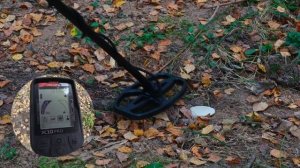 Глубина поиска металлоискателя Quest X10 Pro