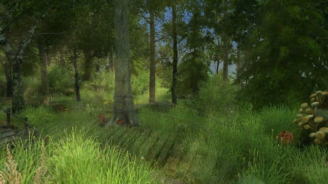 Forest Walk 3D Live Wallpaper and Screensaver смотреть онлайн