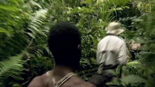 Hunter Gatherers | Explorers in the Field смотреть онлайн