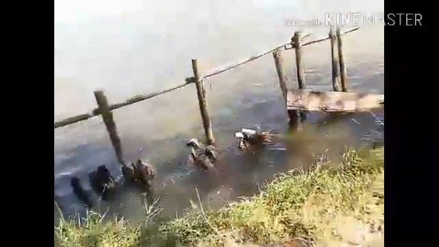 Ми були на озері там ловили рибу смотреть онлайн