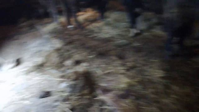 Купил 8 голов быков смотреть онлайн