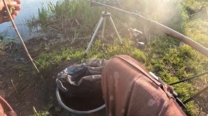 ЛИНЬ НА ФИДЕР В КУВШИНКЕ, ГДЕ ИСКАТЬ ЛИНЯ