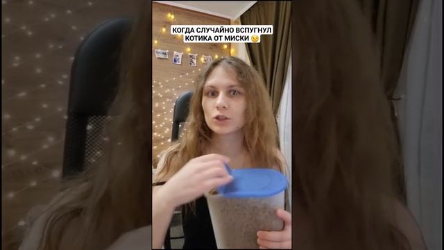 А вы гоняли котиков от миски СЛУЧАЙНО? ? #shorts #юмор смотреть онлайн