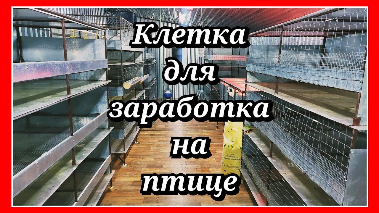 Хочешь ЗАРАБОТАТЬ на ПТИЦЕ в ЛПХ? Делай ТАКИЕ брудеры и клетки смотреть онлайн