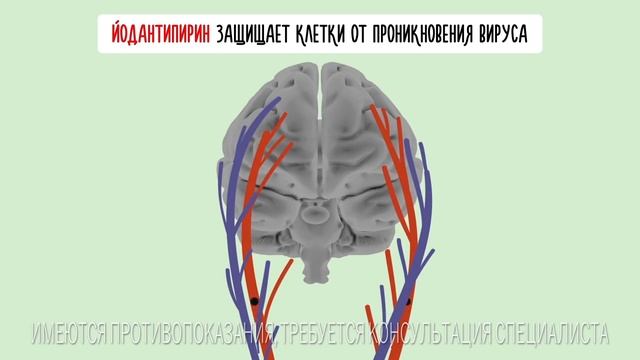 ЧТО ДЕЛАТЬ, ЕСЛИ УКУСИЛ КЛЕЩ смотреть онлайн