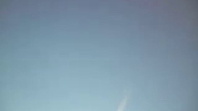 голуби.новомосковск (2).AVI смотреть онлайн