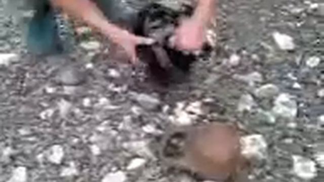 ARAI байкеры ломают гермак смотреть онлайн