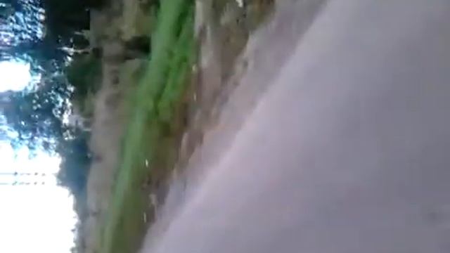 Зиф 77 смотреть онлайн