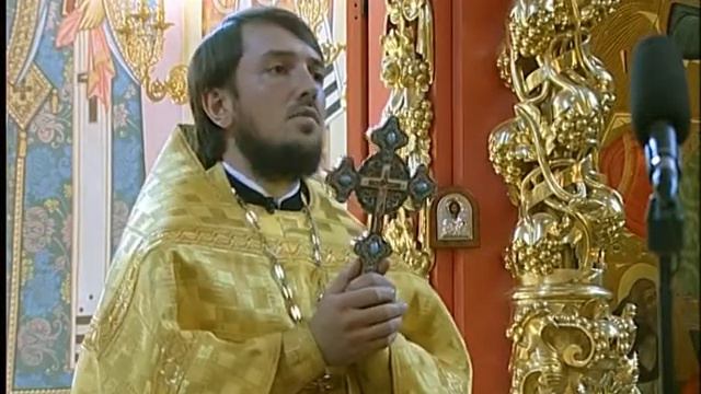 20 июля 2014 г. Протоиерей Владимир Великий о грехе. смотреть онлайн