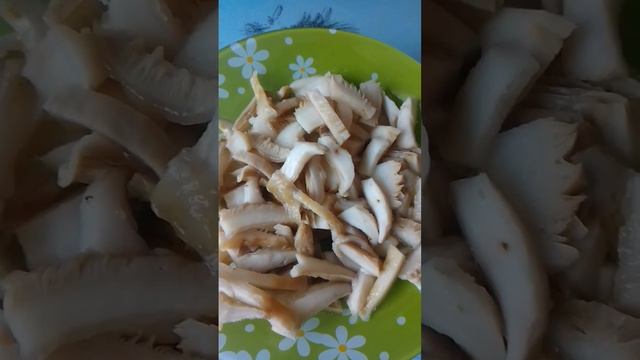 Готовим семейные обеды и ужины