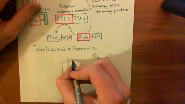 HER2 Amplification and Breast Cancer Part 7 смотреть онлайн