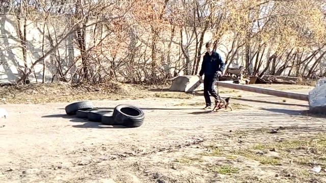 Учим их, учимся сами(2)