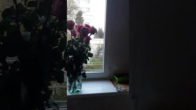 Цветник на балконе.Мое любимое личное пространство. смотреть онлайн