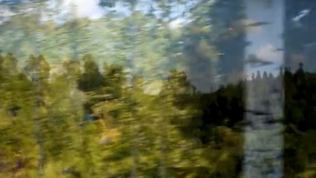 Сиверская Поселок Сиверский смотреть онлайн