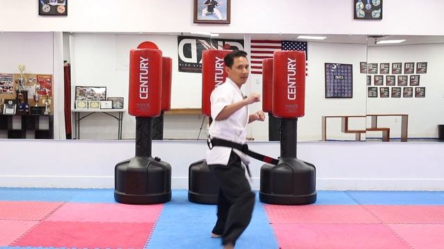 KARATE Lesson 20 - Karate Combo 8