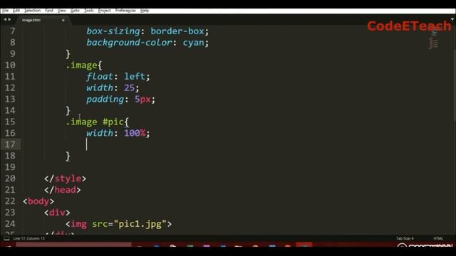 FLOAT IMAGE SIDE BY SIDE IN CSS | IMAGE SIDE BY SIDE HTML CSS By CodeETeach смотреть онлайн