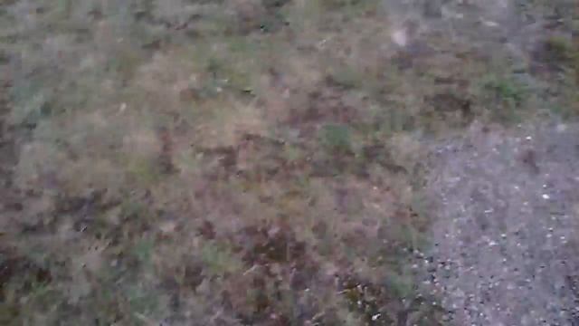 Граница Франции и Германии смотреть онлайн