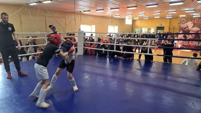 Фестиваль Хабаровского края по комбат самообороне в спортивной дисциплине смотреть онлайн