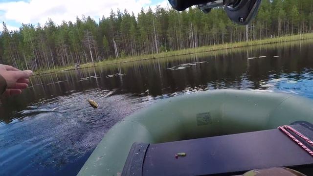 [РЫБАЛКА В КАРЕЛИИ 2021] ЧАСТЬ ТРЕТЬЯ: БЬЮ РЕКОРДЫ! смотреть онлайн