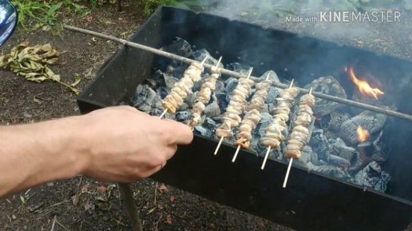 Шашлык из Мидии