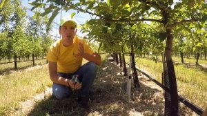 ДЛЯ ЧЕГО В САДУ ТЕНЗИОМЕТРЫ?/ КАК ОПРЕДЕЛИТЬ ВЛАЖНОСТЬ ПОЧВЫ?