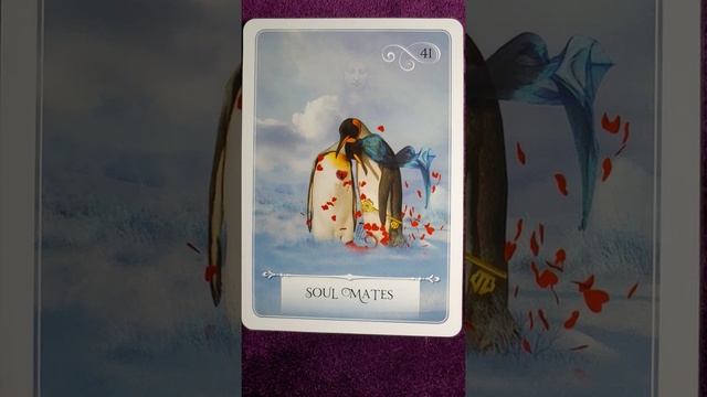 S-Wisdom of the Oracle-Card Meanings смотреть онлайн