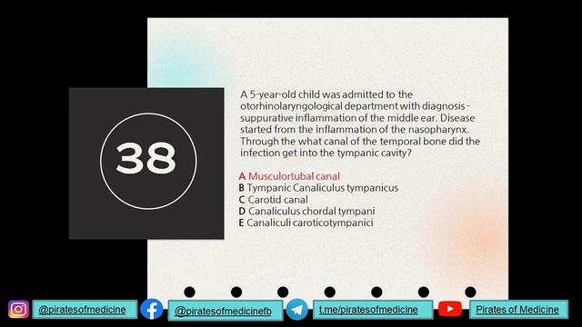 Anatomy base solved | Part 4 (Q 31-45) | KROK 1 exam | Anatomy made easy смотреть онлайн