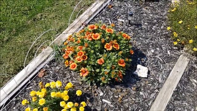 Flower Garden смотреть онлайн