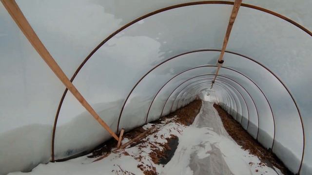 4 февраля 2023 года в деревне Шигаево на своем огороде смотреть онлайн